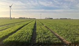 Recommended Lists (RL) variety trials event – Northern Ireland 